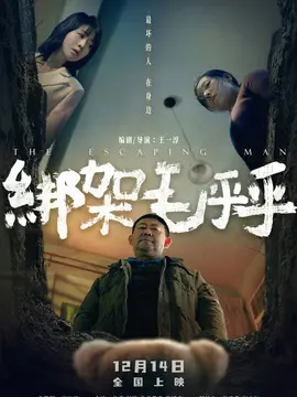 绑架毛乎乎简介